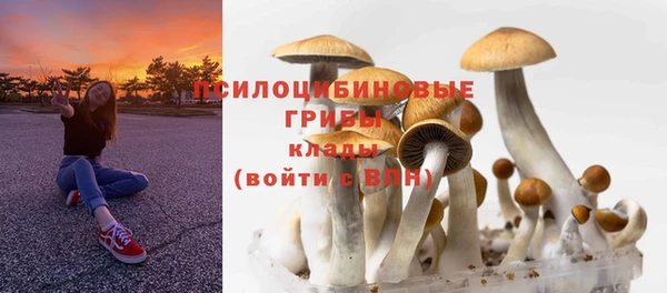 молекула духа Аркадак