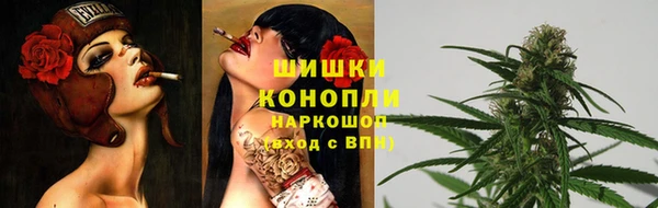молекула духа Аркадак