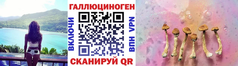 Галлюциногенные грибы Psilocybine cubensis  Можга 