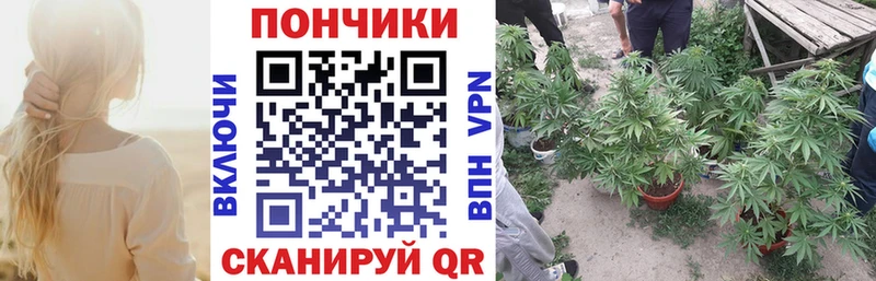 где продают наркотики  Можга  Бошки марихуана Amnesia 